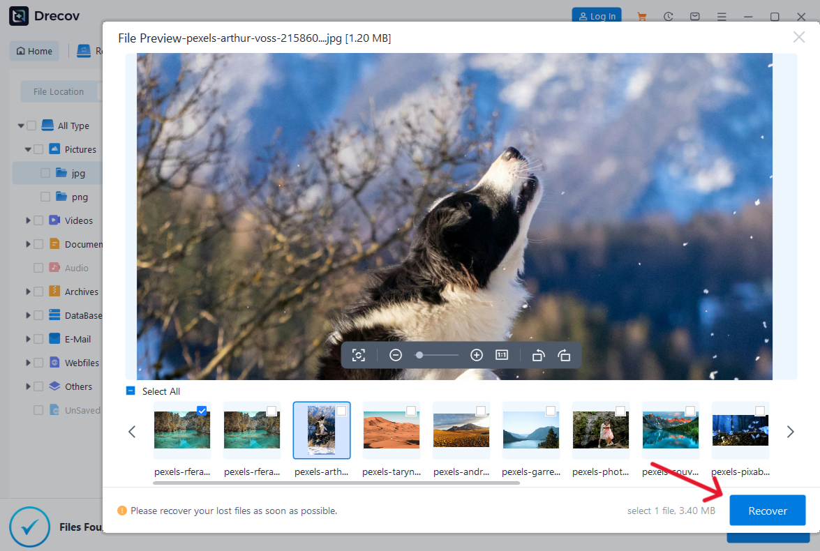 How to Recover Data Deleted from the Recycle Bin