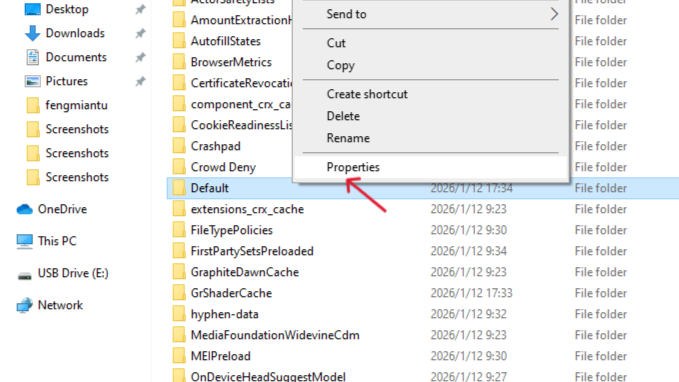 How to Recover Deleted Bookmarks Chrome : Pro Guide