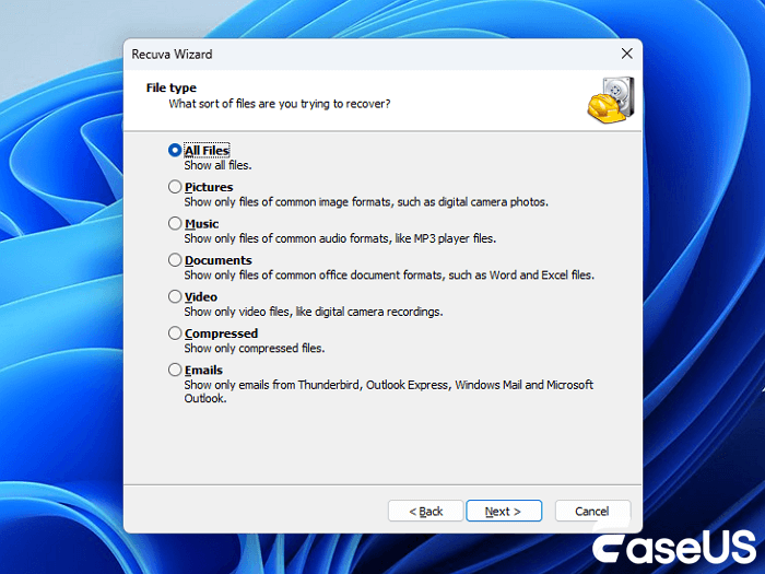 Select a file type in the Recuva wizard