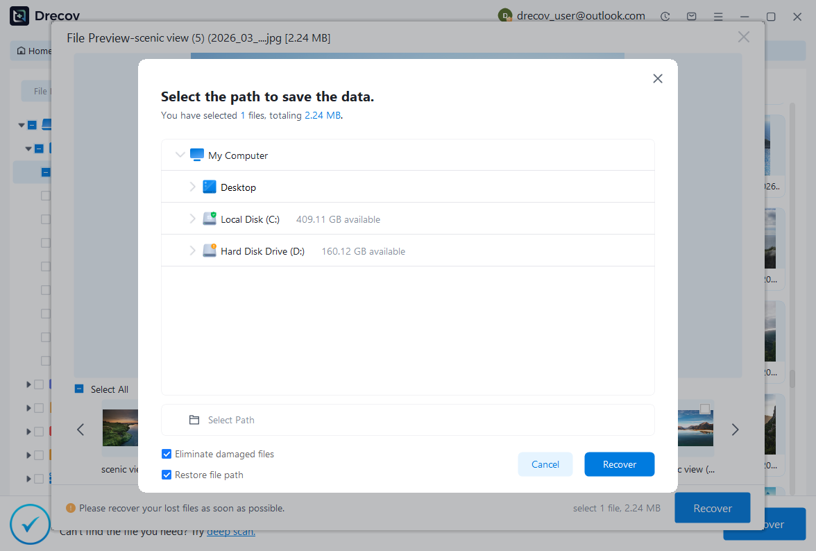 PandaOffice Drecov preview and recovery interface